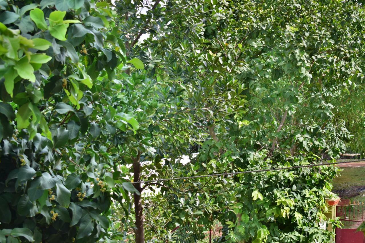 Hotel Kozee Kaves Yelagiri Exterior foto