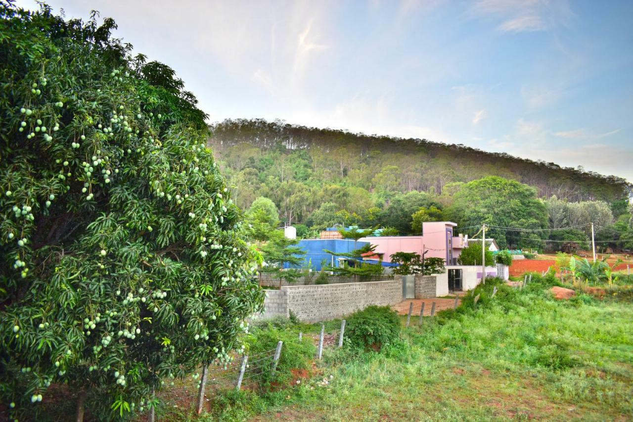 Hotel Kozee Kaves Yelagiri Exterior foto